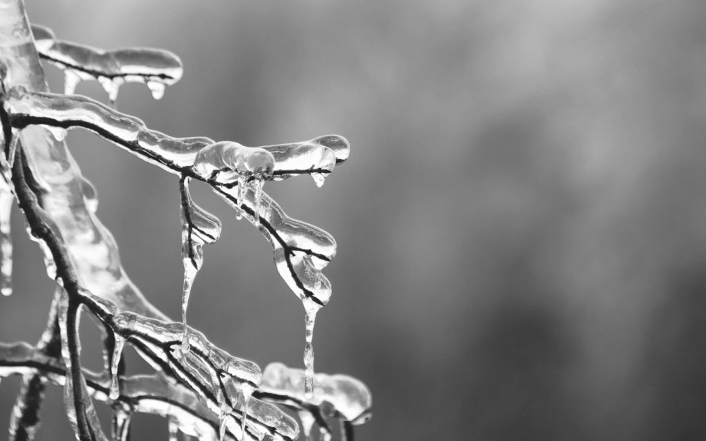 Icy Branch